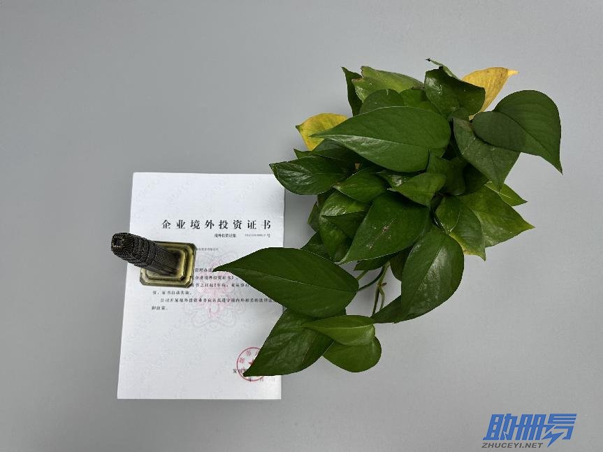 海外公司后期維護知識介紹！